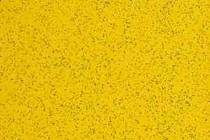 Линолеум Grabo Omnis 2.0 3072_05_279 фото  | FLOORDEALER