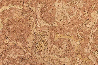 Пробковое покрытие Eco Cork замковое MADEIRA фото 1 | FLOORDEALER