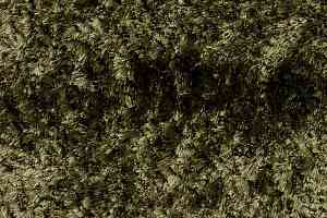 Ковролин ITC Natural Luxury Flooring Singapore 18742 Olives фото  | FLOORDEALER