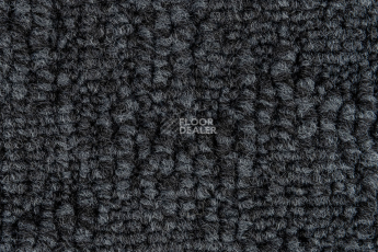 IVC Animate 569 фото 2 | FLOORDEALER