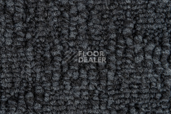 IVC Animate 569 фото 2 | FLOORDEALER