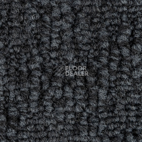 IVC Animate 569 фото 2 | FLOORDEALER