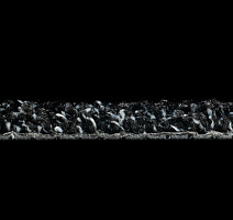 Forbo Coral Luxe 2911 Diamond фото 3 | FLOORDEALER