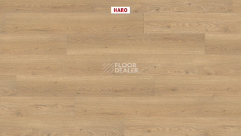 Haro Tritty 100 4V Дуб Флавия Пуро 544711 фото 2 | FLOORDEALER