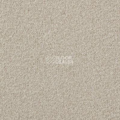 Ковровая плитка AW Maxima 33 фото 1 | FLOORDEALER