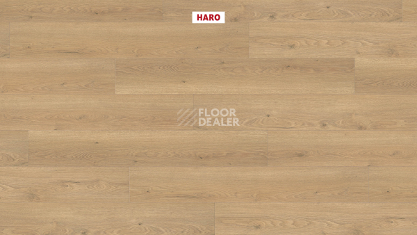 Haro Tritty 100 4V Дуб Флавия Пуро 544711 фото 2 | FLOORDEALER