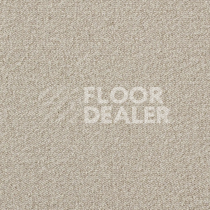 Ковровая плитка AW Maxima 33 фото 1 | FLOORDEALER