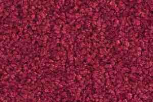 Ковролин Balsan Bolero roll 570 фото  | FLOORDEALER