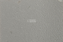 Forbo SureStep Star 176482 greige фото 3 | FLOORDEALER