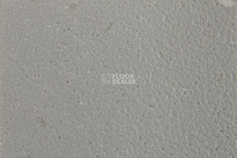 Forbo SureStep Star 176482 greige фото 3 | FLOORDEALER