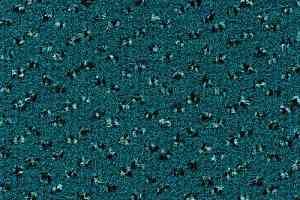 Ковровая плитка Desso Trapez 8161 фото  | FLOORDEALER