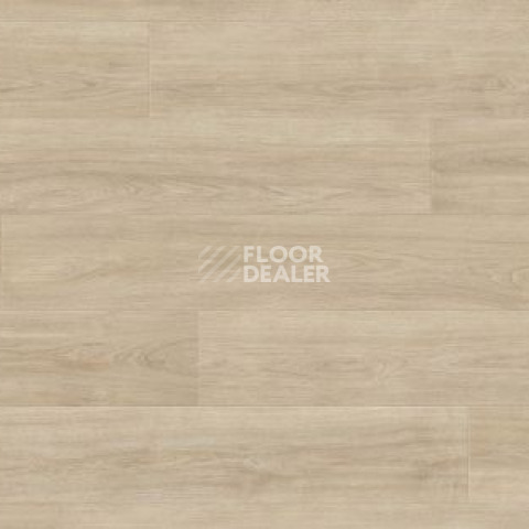 Ламинат Haro Tritty 200 Aqua 4V ДУБ ЭЛЕГАНЗА КРЕМОВО-БЕЛЫЙ 541559 фото 1 | FLOORDEALER
