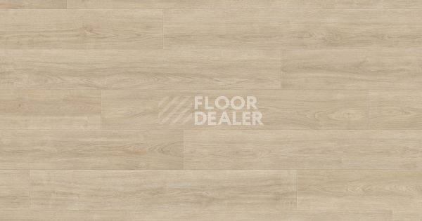 Ламинат Haro Tritty 200 Aqua 4V ДУБ ЭЛЕГАНЗА КРЕМОВО-БЕЛЫЙ 541559 фото 1 | FLOORDEALER