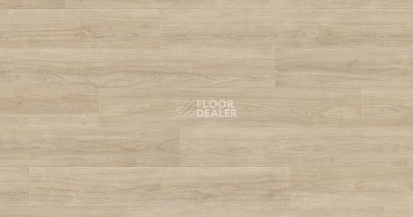 Ламинат Haro Tritty 200 Aqua 4V ДУБ ЭЛЕГАНЗА КРЕМОВО-БЕЛЫЙ 541559 фото 1 | FLOORDEALER