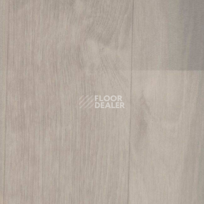 Линолеум Grabosafe Silver Knight 1003-384-856-275 фото 1 | FLOORDEALER