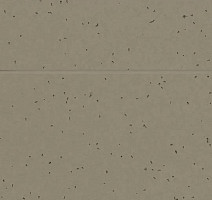 Forbo Sphera Energetic 50206 bark фото 2 | FLOORDEALER