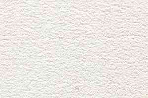 Ковролин Balta DE LA VEGA De La Vega 0610 фото  | FLOORDEALER