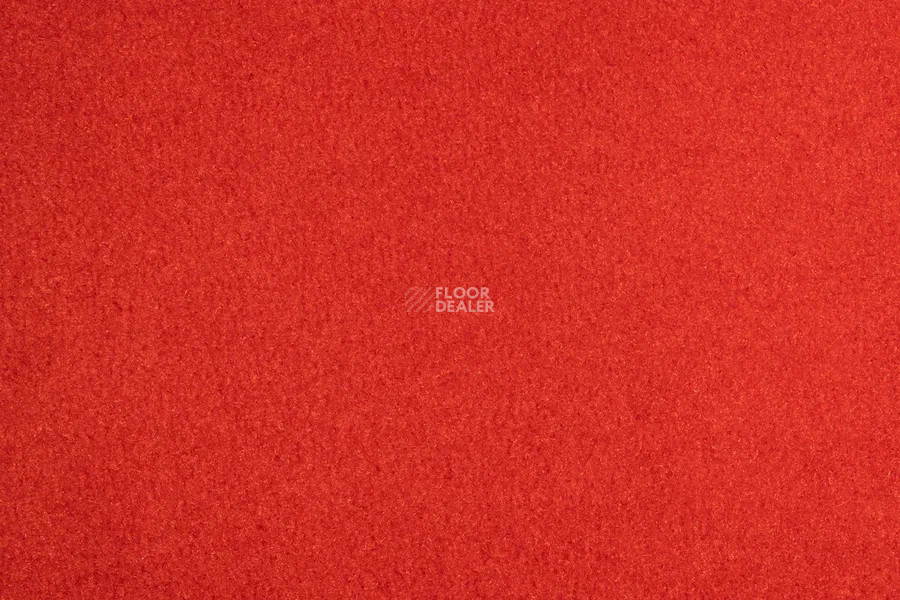 Vorwerk Passion 1000/Modena Vorwerk 1b28 фото 2 | FLOORDEALER