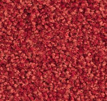 Ковролин Balsan Les Must Les Must 580 фото 1 | FLOORDEALER