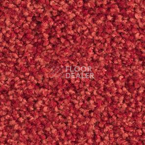 Ковролин Balsan Les Must Les Must 580 фото 1 | FLOORDEALER