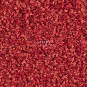 Ковролин Balsan Les Must Les Must 580 фото 1 | FLOORDEALER