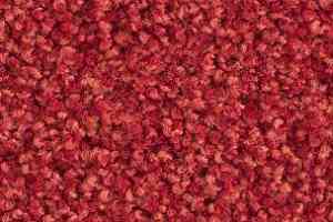 Ковролин Balsan Les Must Les Must 580 фото  | FLOORDEALER