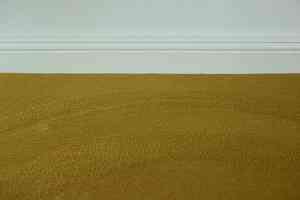 Ковролин Vorwerk Modena 7f29 фото  | FLOORDEALER