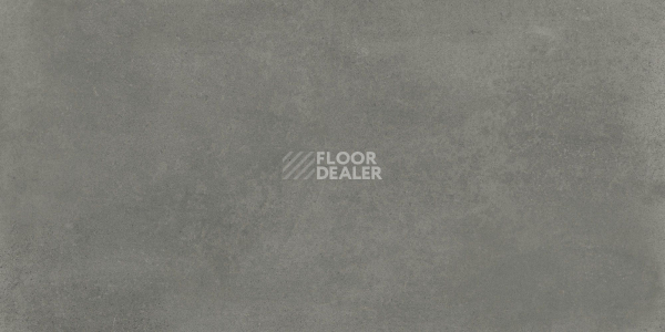 Керамогранит Evo Evo Grey 60120 Rec 60x120 фото 1 | FLOORDEALER