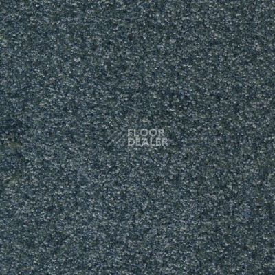 Ковролин AW Masquerade Porzia 77 фото 1 | FLOORDEALER