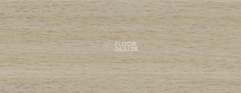 Плинтус Dollken EP 60/13 2370 фото 2 | FLOORDEALER