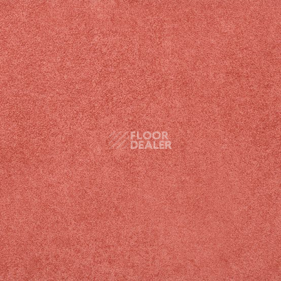 Линолеум Taralay Initial Compact (Plain & allover look) 0951 Miami Litchee фото 1 | FLOORDEALER