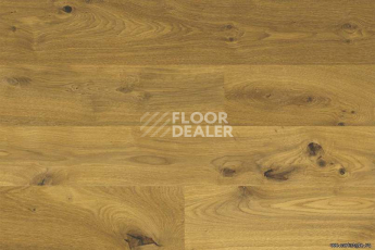 Wood Xl Oak  Knotty фото 4 | FLOORDEALER