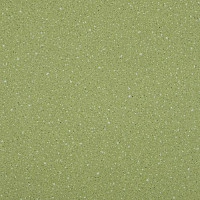 Линолеум Lg Compact CT90519 фото 1 | FLOORDEALER