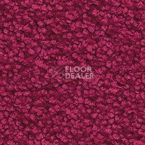 Ковролин Balsan Les First Les First 541 фото 1 | FLOORDEALER