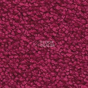 Ковролин Balsan Les First Les First 541 фото 1 | FLOORDEALER