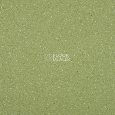 Линолеум Lg Compact CT90519 фото 1 | FLOORDEALER