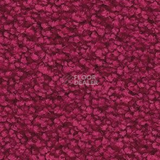 Ковролин Balsan Les First Les First 541 фото 1 | FLOORDEALER