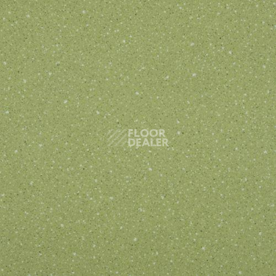 Линолеум Lg Compact CT90519 фото 1 | FLOORDEALER