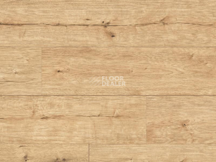 Ламинат Classen Arteo 8XL WR 55092 Atakama Oak /8XL фото 1 | FLOORDEALER