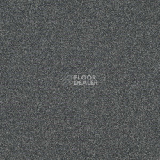 Ковровая плитка Interface Polichrome 7556 Chinchilla фото 1 | FLOORDEALER