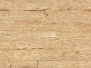 Ламинат Classen Arteo 8XL WR 55092 Atakama Oak /8XL фото 1 | FLOORDEALER