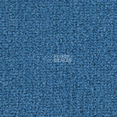 Ковролин Balsan Les Best S 165 фото 1 | FLOORDEALER