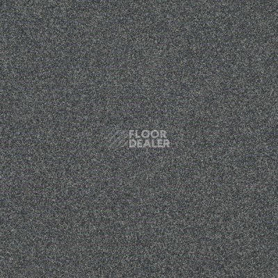 Ковровая плитка Interface Polichrome 7556 Chinchilla фото 1 | FLOORDEALER