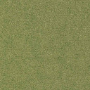 Ковролин Finett Feinwerk 603503  | FLOORDEALER