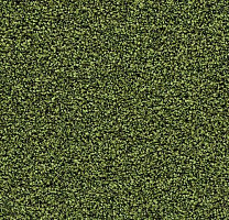 Грязезащитные покрытия Forbo Coral Bright 2608 Fresh Grass фото 1 | FLOORDEALER