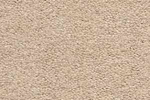 Ковролин AW The Velvet Oreade 33 фото  | FLOORDEALER