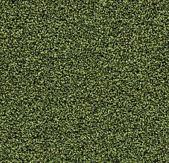 Грязезащитные покрытия Forbo Coral Bright 2608 Fresh Grass фото 1 | FLOORDEALER