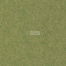 Ковролин Finett Feinwerk 603503 фото 1 | FLOORDEALER
