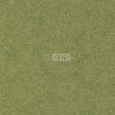 Ковролин Finett Feinwerk 603503 фото 1 | FLOORDEALER