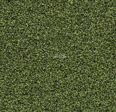 Forbo Coral Bright 2608 Fresh Grass фото 1 | FLOORDEALER